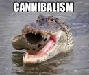 cannibalism