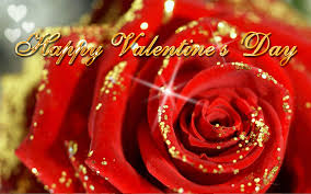 Image result for happy valentines day