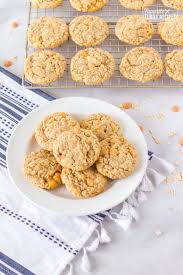 Oatmeal Butterscotch Cookies | Favorite Family Recipes