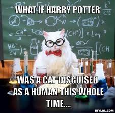 DIYLOL - what if harry potter was a cat disguised as a human this ... via Relatably.com
