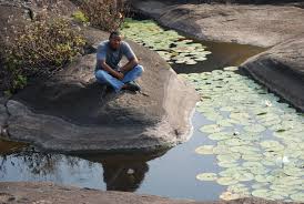 Image result for ososo