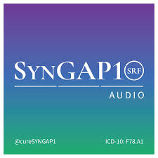 SynGAP10 weekly 10 minute updates on SYNGAP1 (audio)