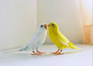 pictures of 2 parrots kissing video on google