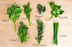 spice #and #everything #nice #gourmetimportshop Quotes About Herbs ... via Relatably.com