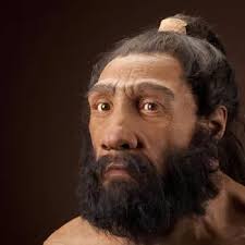 Homo neanderthalensis | The Smithsonian Institution's Human ...