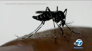 Revised title: Historic Rainfall in SoCal Prompts Concern for Worsening Mosquito Season.
