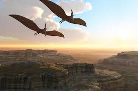 Image result for pterodactyl