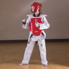 Image result for WTF sparring gear