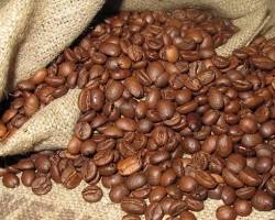 アラビカ種コーヒー豆の画像
