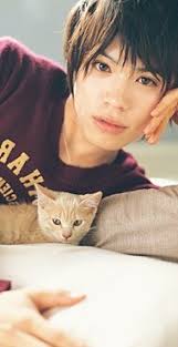 Yusuke-cat-yusuke-yamamoto-23806894-190-370 - Yusuke-cat-yusuke-yamamoto-23806894-190-370