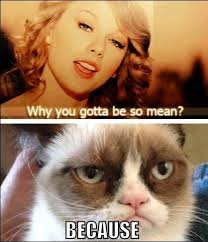 Taylor Swift Memes – 17 Funny Pics | Badass Memes.Com via Relatably.com