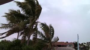 Image result for pictures of the wind blowing