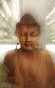 Enlightened Buddha. von Christine Amstutz