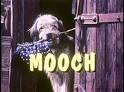 mooch