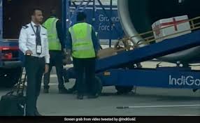 ‘Serious action’: CEO blasts baggage handlers