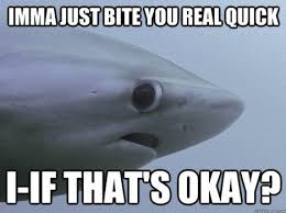 The 24 Best Shy Shark Memes for Shark Week - The Roosevelts via Relatably.com