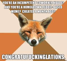 You&#39;re an incompetent coworker koala? And you&#39;re a homegrown ... via Relatably.com