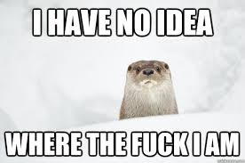 Otterly Uncertain memes | quickmeme via Relatably.com