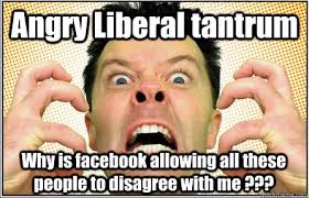 Angry Liberal tantrum Why is facebook allowing all these people to ... via Relatably.com