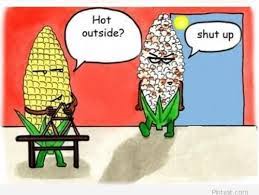 Funny Quotes about the SUMMER HEAT | Frog PoetFrog Poet via Relatably.com