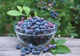 「藍莓、巴西莓、樹莓和蔓越莓」的圖片搜尋結果
