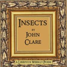 Insects by John Clare (1793 - 1864)