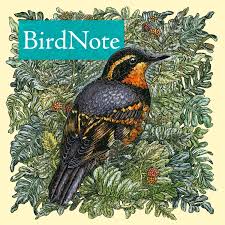 BirdNote Daily