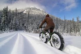 Image result for fat bike snow images