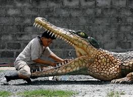 Résultat de recherche d'images pour "crocodile"