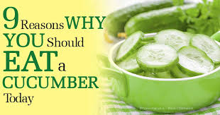 Image result for images of cucumber