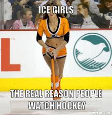 Why People Watch Hockey Meme Generator - DIY LOL via Relatably.com