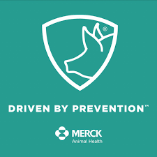 Driven By Prevention