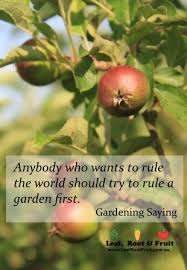 Gardening Quotes And Sayings. QuotesGram via Relatably.com