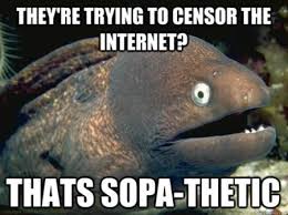 13 of the Best SOPA&#39;s Protests and Memes (SOPA memes) - ODDEE via Relatably.com