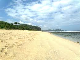 Image result for PANTAI PARANGTRITIS