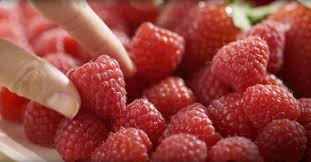 How to Freeze Fresh Raspberries | Driscoll's