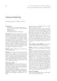(PDF) Centaurea diomedea Gasp.. In: Schede per una Lista Rossa ...