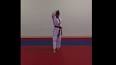Video for taekwondo forms pdf