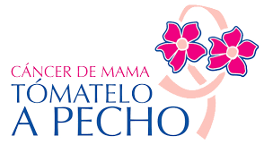 cancer de mama lucha
