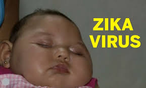 Proof of Zika’s Link to Neurological Disorders Grows 