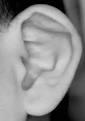 ear-shell