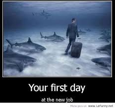 Your-first-day-at-the-new-job.jpg via Relatably.com