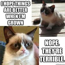 Maybe Things Will Get Better When I Grow Up Funny Cats Pic ... via Relatably.com
