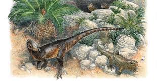 Chicken-size 'dragon' is the oldest carnivorous dinosaur found in the ...