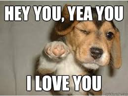 HEY YOU, YEA YOU I LOVE YOU - Puppy Love - quickmeme via Relatably.com
