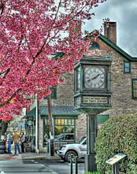 Image result for newtown boro pa spring