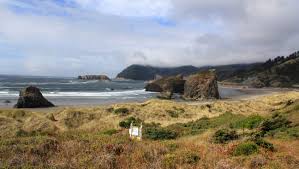 5 best hikes near Gold Beach feature old-growth forest and ocean ...