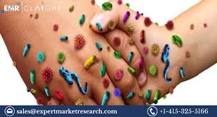 Infection Surveillance Solutions Market Size, Share, Growth 2024-2032