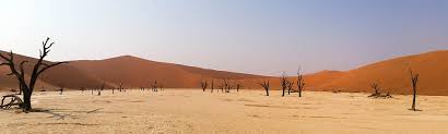 Image result for namibia landscape