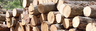 Image result for Glenreagh Sawmill